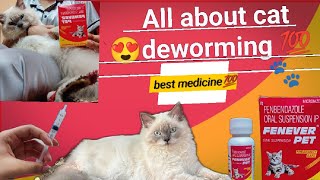 cat deworming at home💯🤩deworming in catdeworming in kittens😻 cat kittens feline [upl. by Calypso]