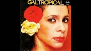 Gal Costa  Olha [upl. by Eryt797]