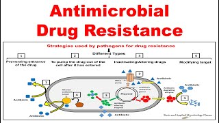 HIV Mechanisms of NNRTI Resistance [upl. by Mandych]