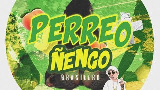 PERREO ÑENGO 1 🇧🇷🍑 Brasilero El Aleex Deejay⚡ [upl. by Atsillak862]