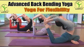 Advanced Back Bending Yoga  full Session  Yoga With Sandeep  Vietnam [upl. by Coppola919]