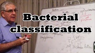 Bacterial Classification [upl. by Hannibal]