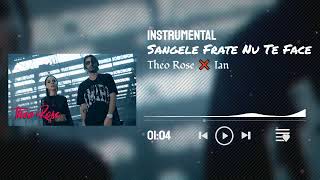 Theo Rose ❌ Ian  Sangele Frate Nu Te Face Instrumental [upl. by Erbe219]