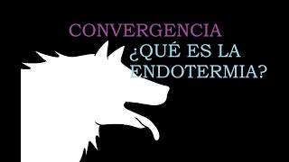 ¿Qué Es La Endotermia  Convergencia [upl. by Jewett695]