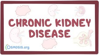 Chronic kidney disease  causes symptoms diagnosis treatment pathology [upl. by Carmelita]