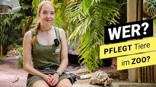 Ausbildung zur ZOOTIERPFLEGERIN wir schauen hinter die Kulissen des Kölner Zoo Terrariums [upl. by Lrig]