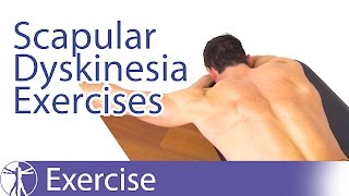 Best Scapular Dyskinesis  Dyskinesia Exercises [upl. by Holton35]