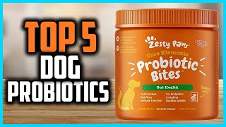 ✅ Top 5 Best Dog Probiotics of 2024 [upl. by Broome242]