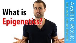 What is Epigenetics [upl. by Hanus]