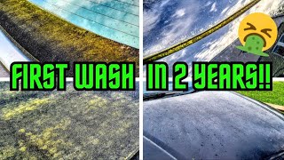 FILTHY Audi A4 First Wash In 2 Years  DISASTER From Start To Finish [upl. by Osugi]