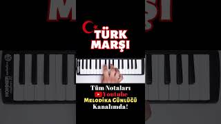 TÜRK MARŞI  RONDO ALATURCA Melodika Notaları [upl. by Iadam]