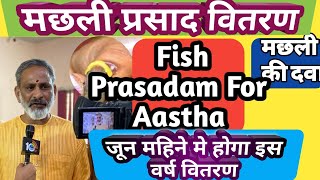 Fish Prasadam Medicine For Asthma At Hyderabad  Hyderabad Fish Prasadam मछली प्रसाद वितरण हैदराबाद [upl. by Animahs378]