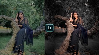 Dark and brown effect Lightroom photo editingpreset download free [upl. by Onibag205]