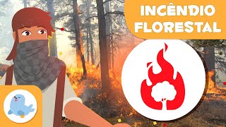 INCÊNDIO FLORESTAL 🔥🌲 O que é um incêndio florestal 👨🏻‍🚒 Desastres naturais em 1 minuto [upl. by Yolane]