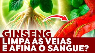 Planta milenar contra má circulação que melhora a saúde cardiovascular incríveis efeitos do ginseng [upl. by Ches]