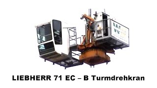 Turmdrehkran Liebherr 71 ECB Montage [upl. by Gerianne]