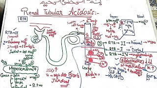 Nephrology medicine lecture 9 🛑 Renal tubular acidosis RTA 1 2 4 nephrology medicine mbbs [upl. by Neron]