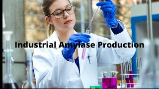 Industrial Amylase Production Process [upl. by Veronike]