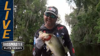 Candidate for Topwater bite of the Year — Matt Arey at St Johns River [upl. by Chae]