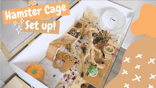 Setting Up a Hamster Cage [upl. by Llennol]