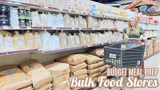 BULK FOOD STORE SHOP BUDGET MEAL PREP  FOOD STORAGE PANTRY TOUR CANNING RECIPES LARGE FAMILY MEALS [upl. by Stauffer]