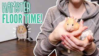 Hamster Floor Time 🐹 [upl. by Castera]