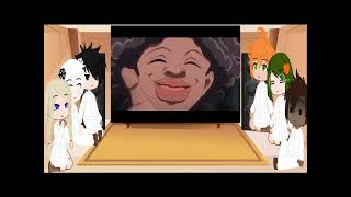 Tpn reacts to voice over parody first tpn video norray and Gilemma [upl. by Annorah]