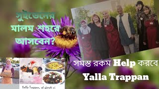 সুইডেনের মালম শহরে আসলে এই video টি আপনার জন্য [upl. by Wirth678]