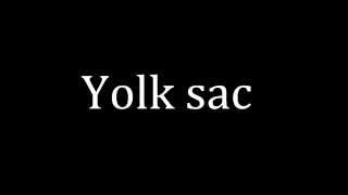 How to pronounce Yolk sac [upl. by Gad]