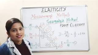 Lecture 17 Point elasticity of Demand [upl. by Lilias]