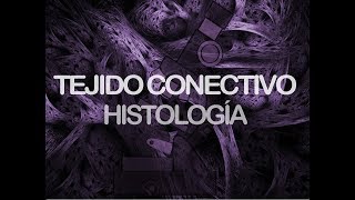 Tejido conectivo  Histología [upl. by Grove]