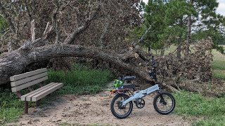 Clearing bike paths with my new cordless chainsaw [upl. by Nrojb]