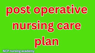 Postoperative nursing care plan  nursing care plan for postoperative patient  surgical patient [upl. by Samoht]