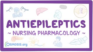 Antiepileptics Nursing Pharmacology [upl. by Ahsilam]