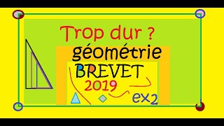 DIFFICILE  BREVET MATHS 2019 CORRIGE EX2 Géométrie [upl. by Ehcsrop]