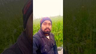 ago pagali to pagal banai le beya song music [upl. by Pompei]