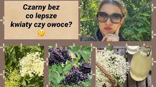 Czarny bez Nie tylko na przeziębienie Co lepszekwiaty czy owoce  🤔🌸🫐 [upl. by Alyt]