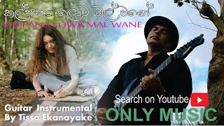 Kalpana lowa Mal Wane Only Music  Instrumental  Guitar by Tissa Ekanayake [upl. by Hong]