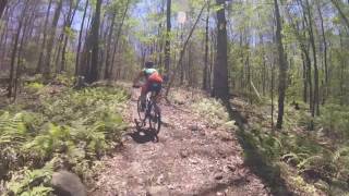 KNOBBY Root 66 Domnarski Farm Fat Bike Open Class 2017 [upl. by Leciram]