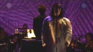 Antony and the Johnsons  Another World Live with orchestra 2009 [upl. by Llerrej]