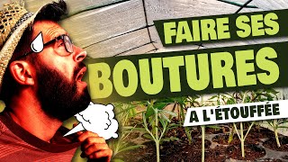 Faire les BOUTURES à létouffée  3 exemples en septembre [upl. by Ravid591]