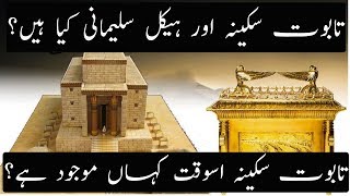 History of Taboot e Sakina And Haikal Sulemani Explained  Urdu Hindi [upl. by Magda]