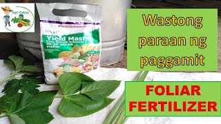 How Foliar fertilizer works Tamang Pagaabono ng foliar fertilizer  Agrigabay [upl. by Terbecki297]