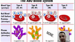 Blood Type Explanation [upl. by Amian63]