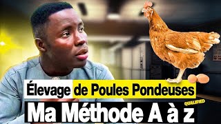 Aviculture  Élevage des poules pondeuses En Afrique  MA MÉTHODE A à Z [upl. by Longtin]