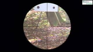 Vortex Viper 6520x44 PA reticle BDC subtensions [upl. by Aholah]