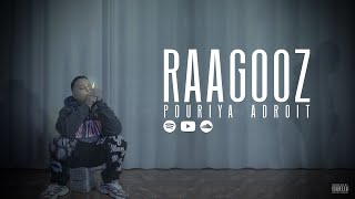 Pouriya Adroit  Raagooz Official Music Video [upl. by Estrin]