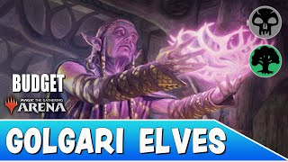 5 RARE BUDGET GOLGARI ELVES  SO GOOD  Magic Arena Standard MTG Arena [upl. by Veradi637]