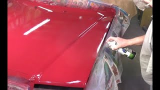 How to Paint Cars with Aerosol Spray Cans [upl. by Roane]