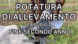 Vite La potatura di allevamento  fine secondo anno [upl. by Boardman]